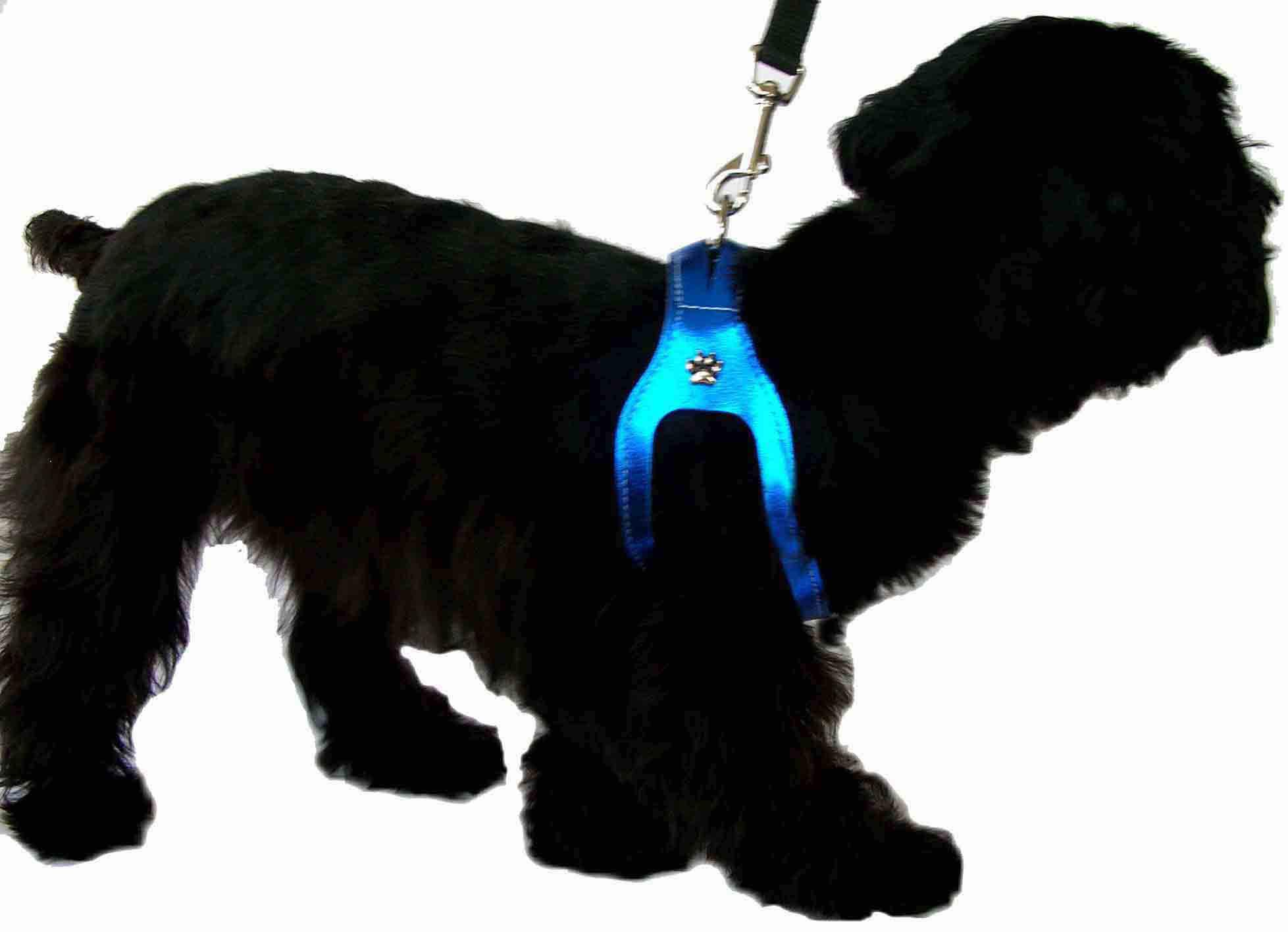 Non choking 2025 dog harness